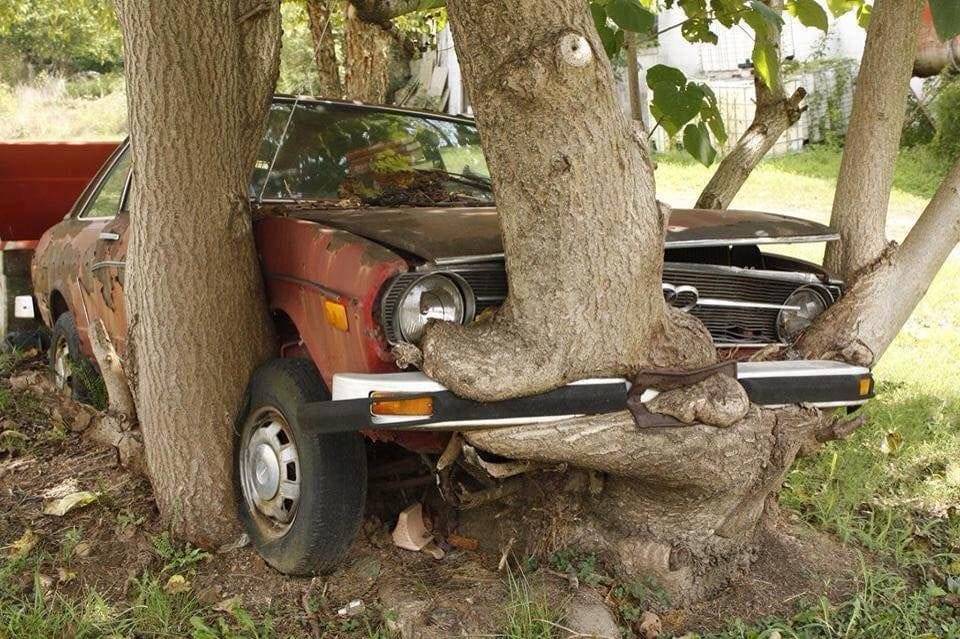 Daily Pictures. Part 1 (72 pics)