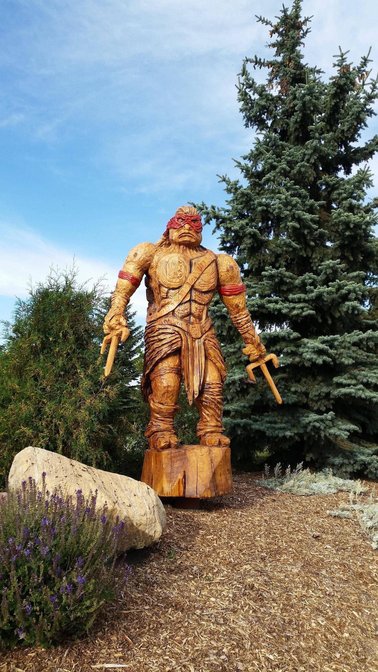 Daily Pictures. Part 1 (72 pics)