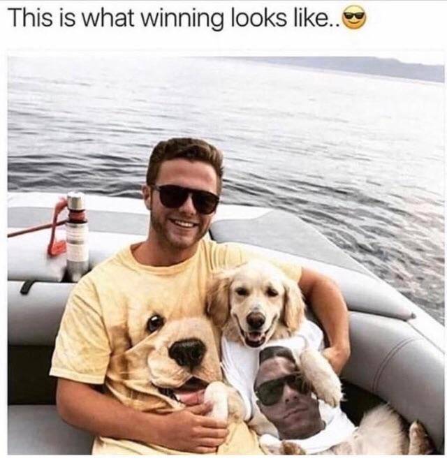 Daily Pictures. Part 2 (71 pics)