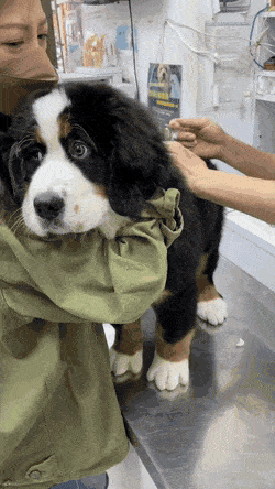 Acid GIFs, May 29 (25 gifs)
