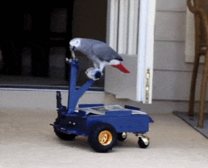 Acid GIFs, May 29 (25 gifs)