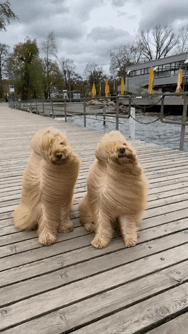 Acid GIFs, May 29 (25 gifs)