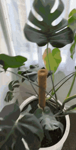Acid GIFs, May 29 (25 gifs)