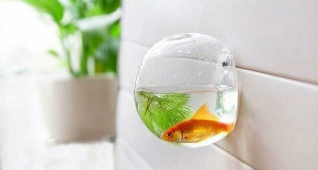 Odd Designs And Constructions (15 pics)