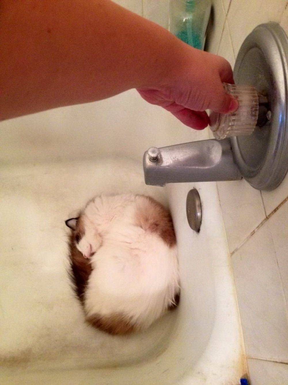 Bad Days Happen (23 pics)