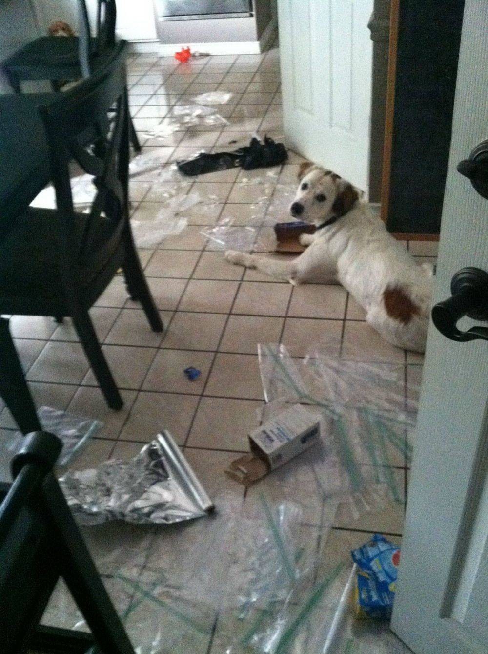 Bad Days Happen (23 pics)