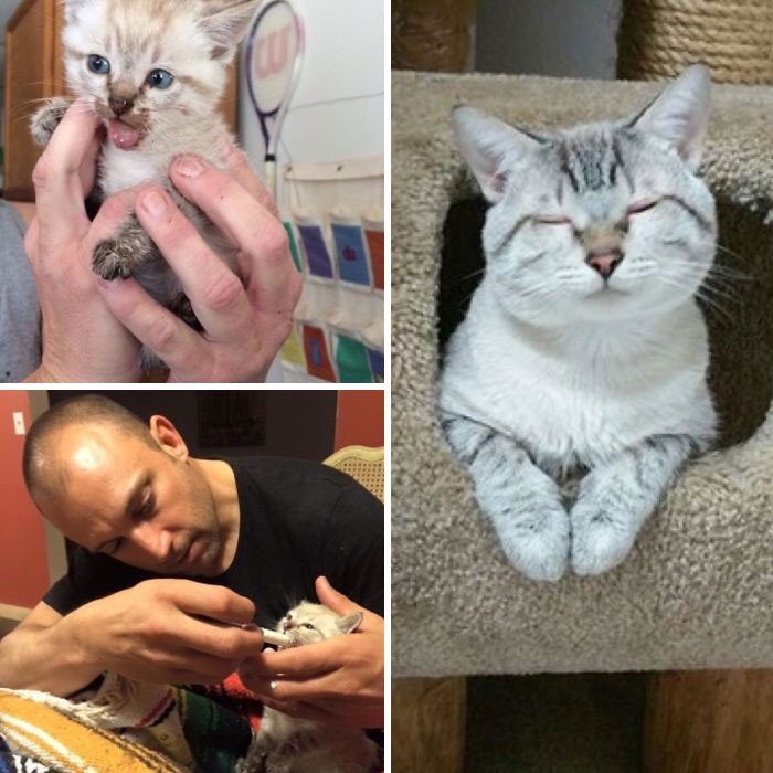 Before And After Adoption (19 pics)