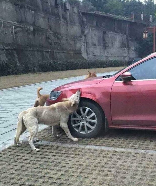 This Is Annoying (15 pics)
