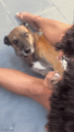 Acid GIFs, June 1 (25 gifs) Acid GIFs, June 1 (25 gifs)