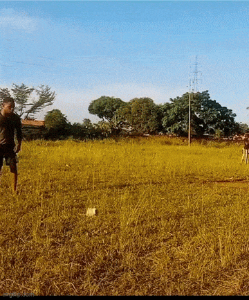 Acid GIFs, June 1 (25 gifs) Acid GIFs, June 1 (25 gifs)