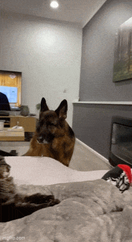 Acid GIFs, June 1 (25 gifs) Acid GIFs, June 1 (25 gifs)