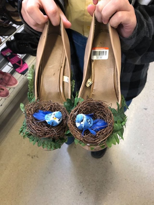Weird Finds In Thrift Shops (15 pics)