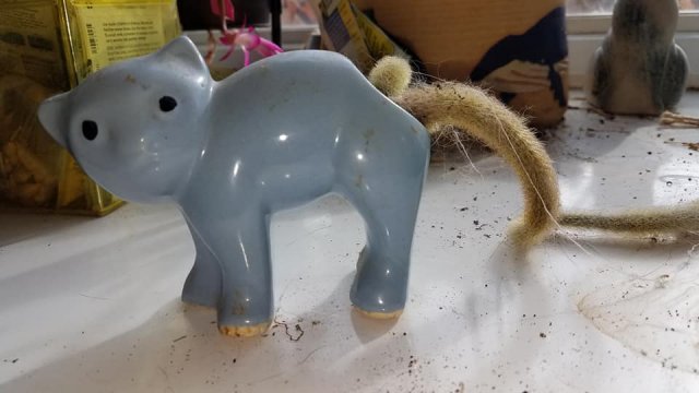 Weird Finds In Thrift Shops (15 pics)