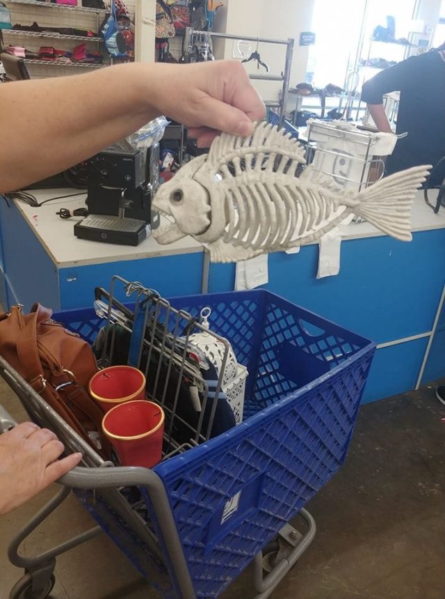 Weird Finds In Thrift Shops (15 pics)