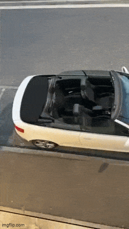 Acid GIFs, June 2 (25 gifs)