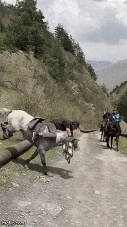Acid GIFs, June 2 (25 gifs)
