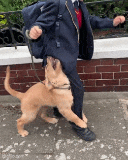 Acid GIFs, June 2 (25 gifs)