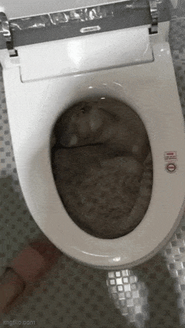 Acid GIFs, June 2 (25 gifs)