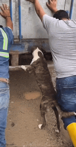 Acid GIFs, June 2 (25 gifs)
