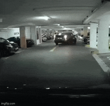 Acid GIFs, June 2 (25 gifs)