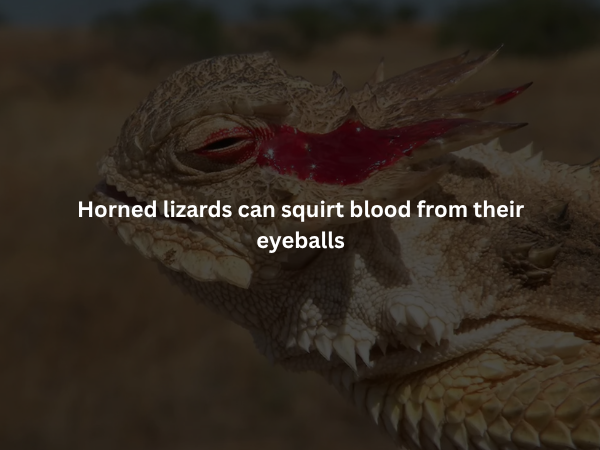 Creepy Facts (15 pics)