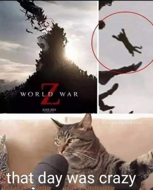 Jokes And Photos For Cats Lovers (17 pics)