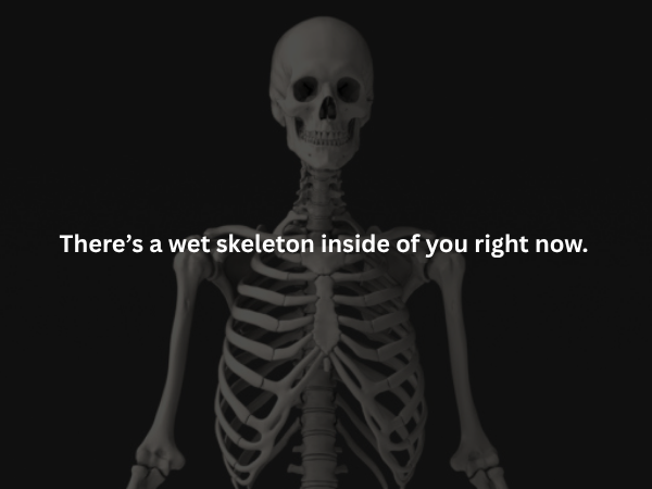Creepy Facts (15 pics)