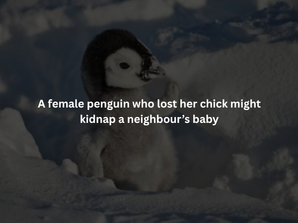 Creepy Facts (15 pics)