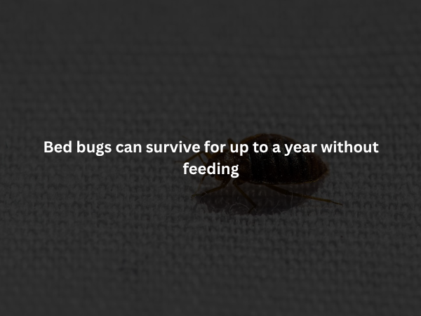 Creepy Facts (15 pics)