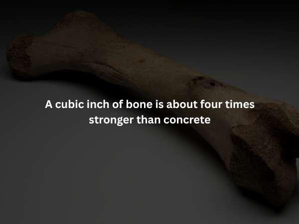 Creepy Facts (15 pics)