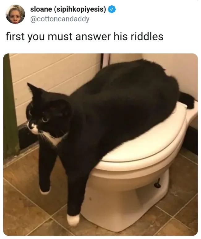 Jokes And Photos For Cats Lovers (17 pics)