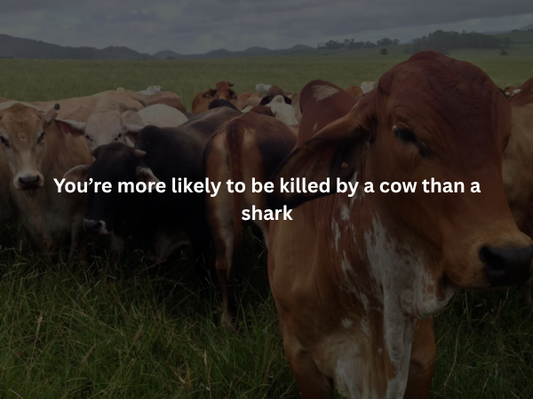 Creepy Facts (15 pics)
