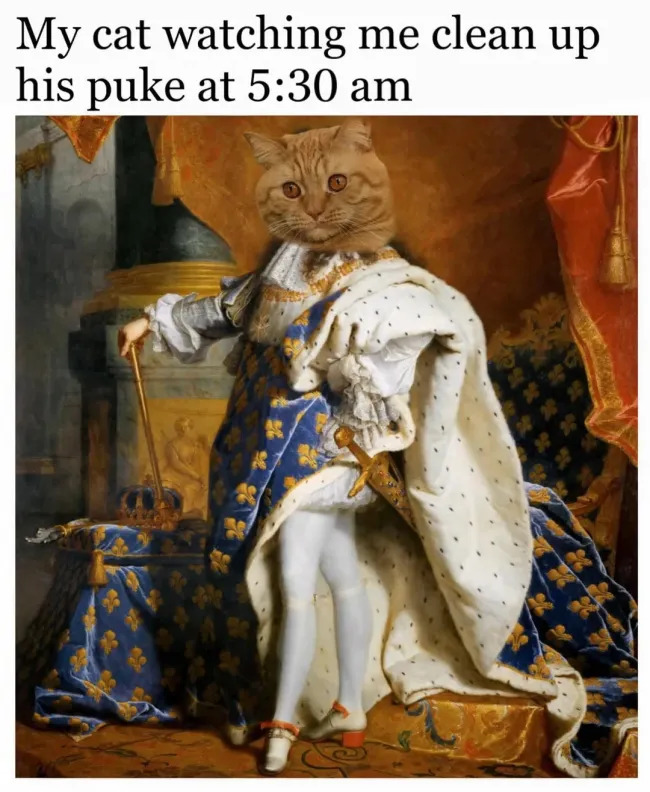 Jokes And Photos For Cats Lovers (17 pics)