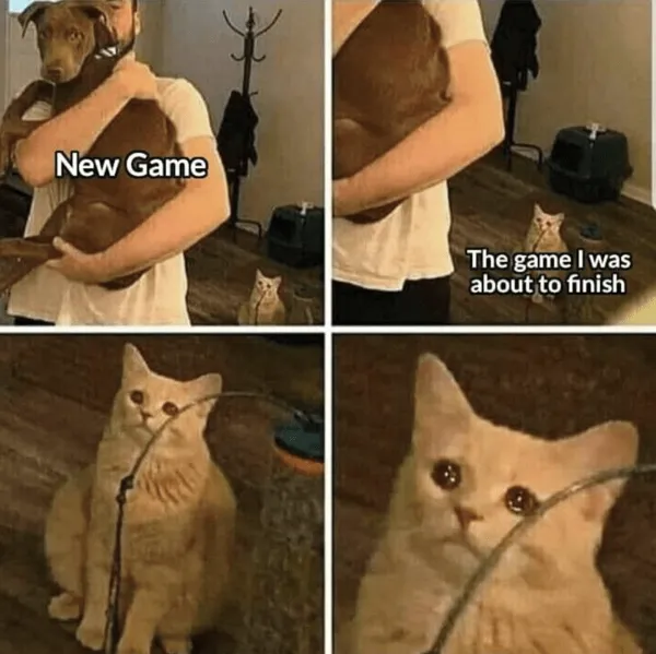 Memes For Gamers (23 pics)