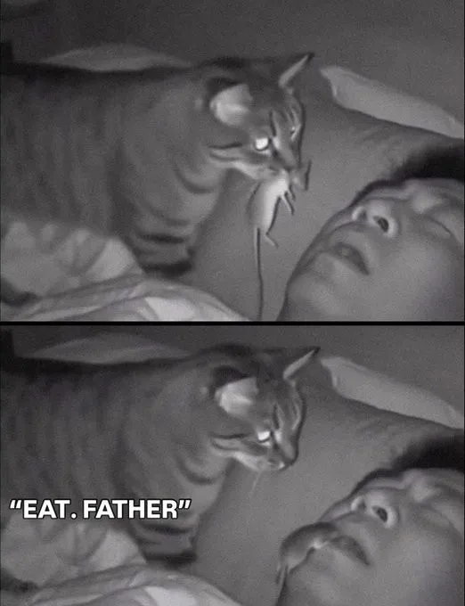 Random Memes (21 pics)