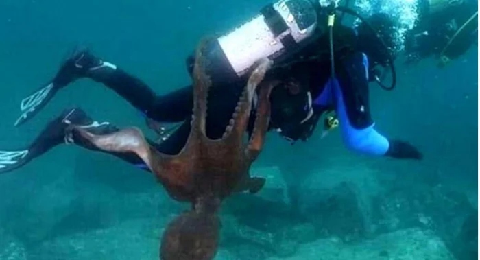 Unfortunate Situations (21 pics)