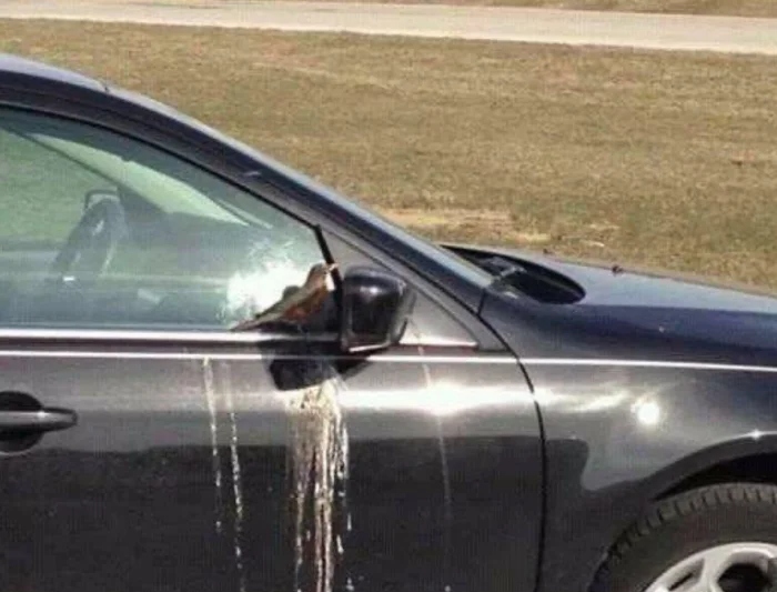 Unfortunate Situations (21 pics)