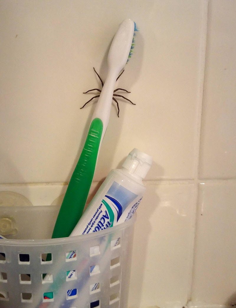 Bad Days Happen (23 pics)