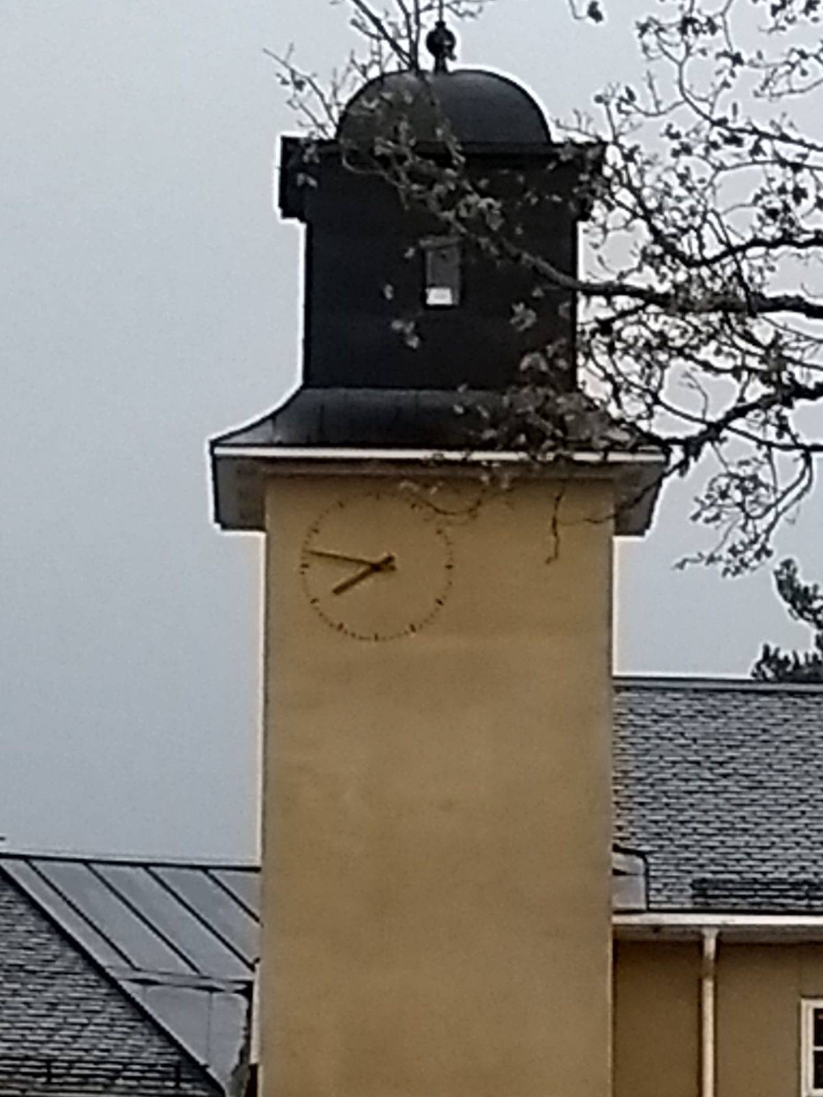 Daily Pictures. Part 2 (75 pics)