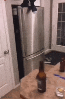 Acid GIFs, June 3 (25 gifs)