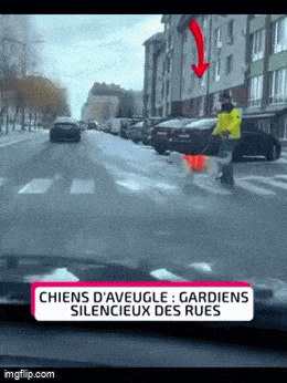 Acid GIFs, June 3 (25 gifs)
