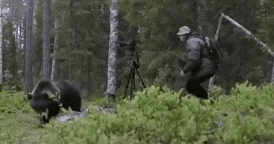 Acid GIFs, June 3 (25 gifs)
