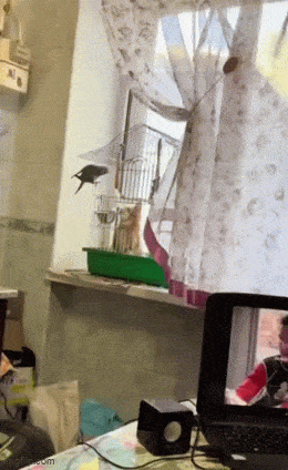 Acid GIFs, June 3 (25 gifs)