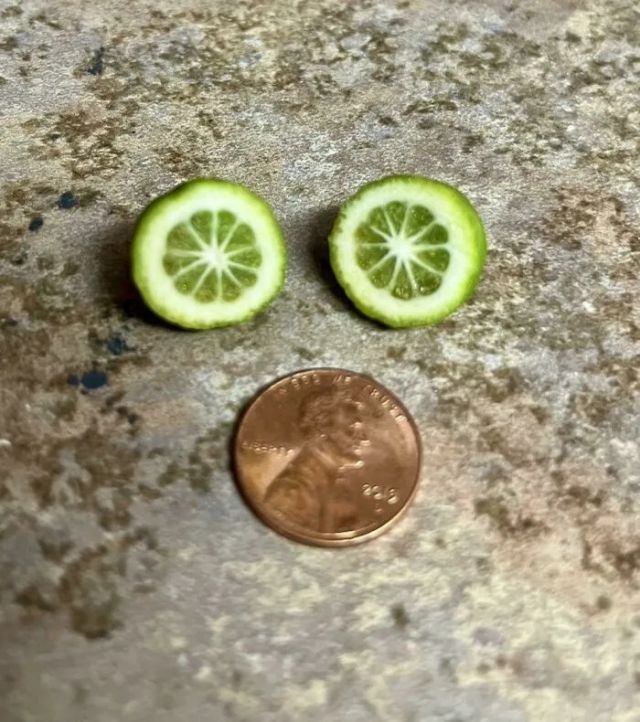 Failed Harvest (23 pics)