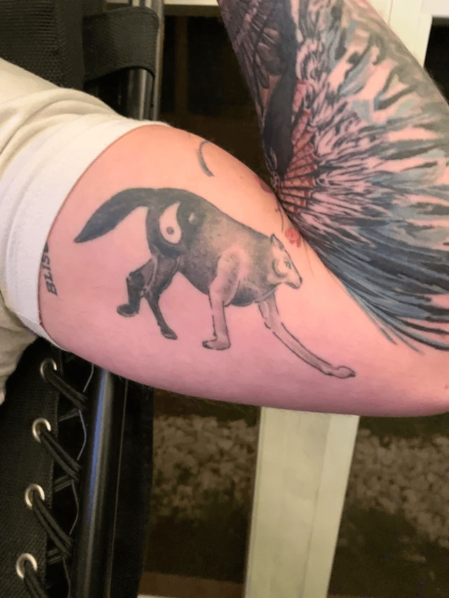Failed Tattoos (15 pics)