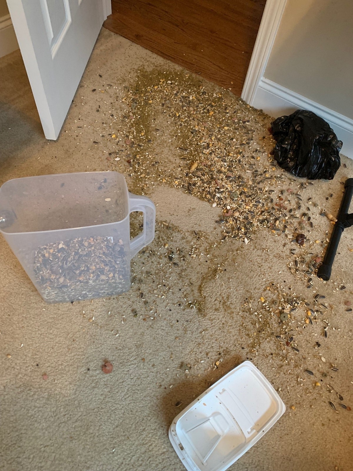 Bad Days Happen (21 pics)