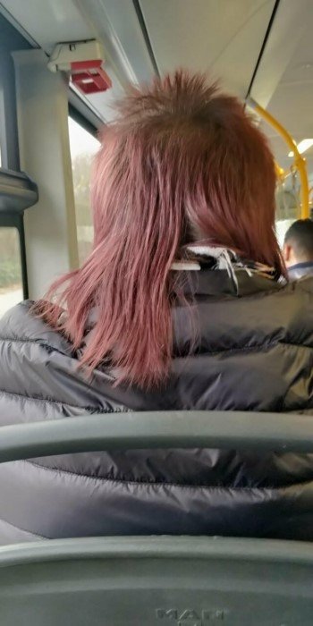 Awful Haircuts (17 pics)