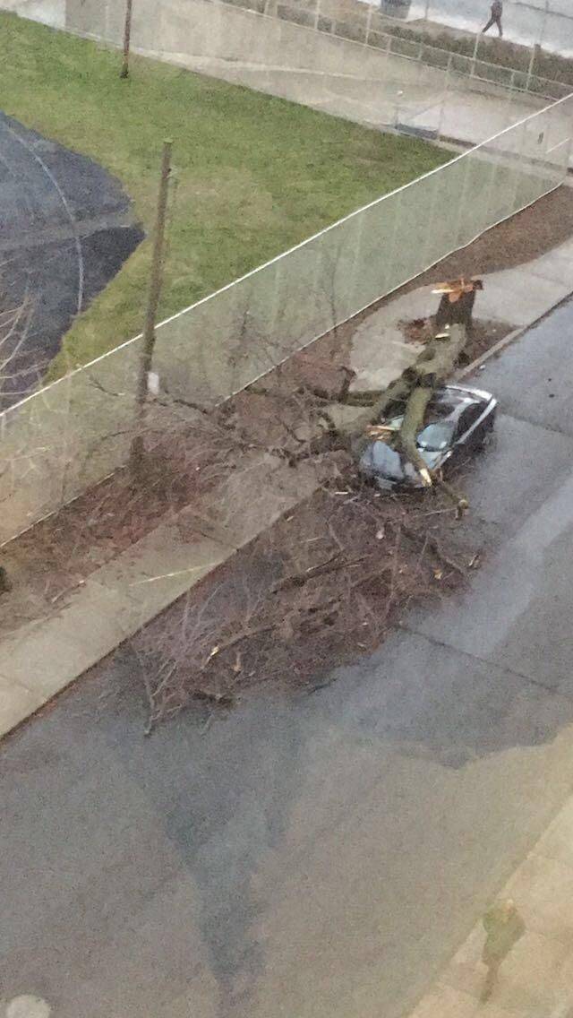 Daily Pictures. Part 1 (74 pics)