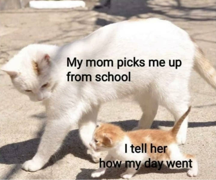 Daily Pictures. Part 2 (73 pics)