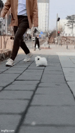 Acid GIFs, June 4 (25 gifs) Acid GIFs, June 4 (25 gifs)